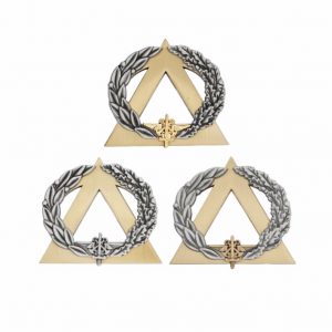 Insigne de poitrine - Brevet de Secouriste (Or, Argent ou Bronze)