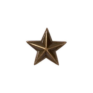 Étoile Bronze pour barrette