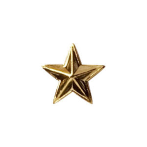 Étoile Or pour Barrette