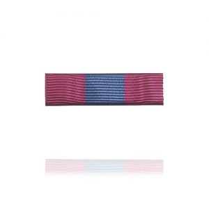 Défense Nationale Bronze - Dixmude