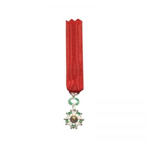 Légion d'honneur chevalier - Réduction