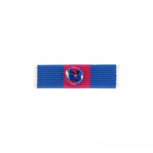 Service Militaire Volontaire Or – Dixmude
