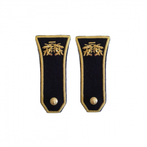 Epaulettes de spencer médecin chef des service hors classe