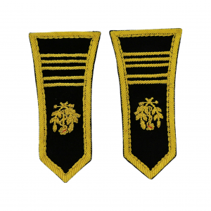 Epaulettes de spencer colonel du service de santé