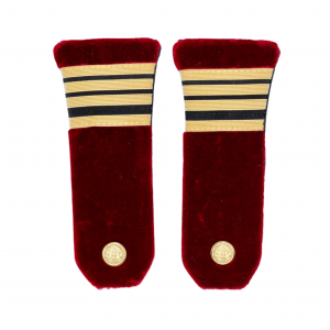 Pattes d'épaules commandant médecin service de santé