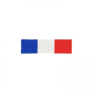 Actes de courage et dévouement – Dixmude