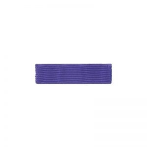 Palmes académiques Chevalier - Dixmude