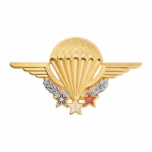 Brevet Para Instructeur