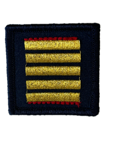 Galon de Combat Colonel Médecin avec Liseré