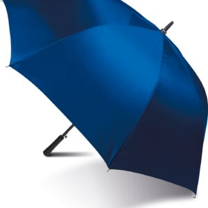 Parapluie